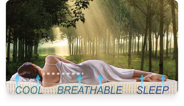 Cool Breathable Sleep